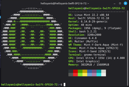 The neofetch command restult in the terminal, shows it's running Linux Mint